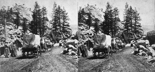 Emigrant Train