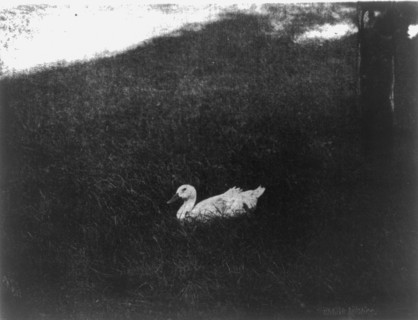 "The simple life" by  Gertrude Käsebier
