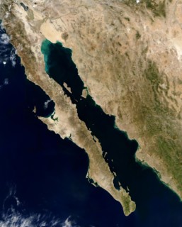 Gulf of California
