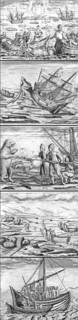 Plates of Willem Barents 3rd voyage