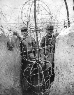Barbed wire entaglements, 1915