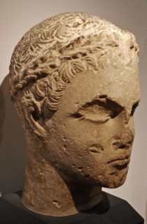 Head of a young man