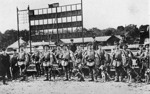 German Red Cross squad with dogs