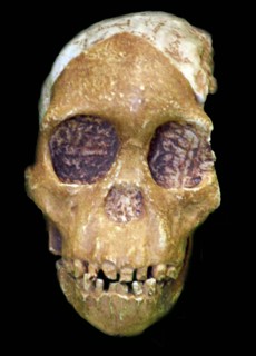 First discovered by anthropologist Mary Leakey on July 17