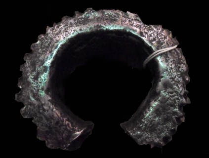 Warrior's heavy iron bracelet Murle people