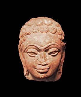 Head of Jina