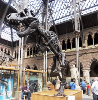 Tyrannosaurus rex