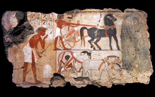 Nebamun was the accountant in charge of grain