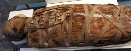 Mummy of a man with amulets on a frame