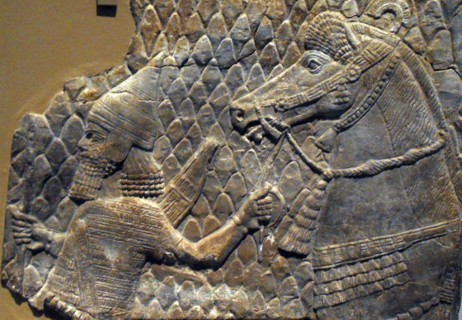 Assyrian relief showing a horse led by an archer