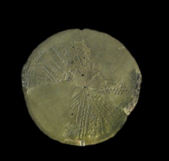 Cuneiform planisphere