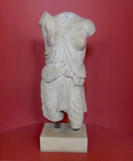 Torso of an Amazon