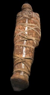 Mummy of a man with amuletes n a frame