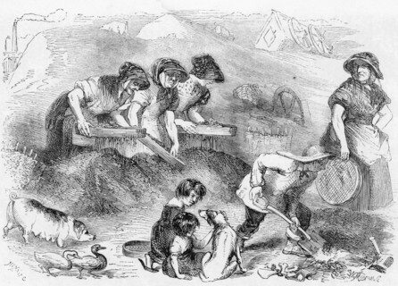 Women and children sifting household refuse in a dust yard