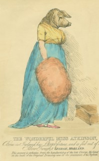 The Wonderful Miss Atkinson, the pig-faced woman