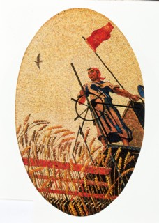 Women harvesting wheat on a combine harvester