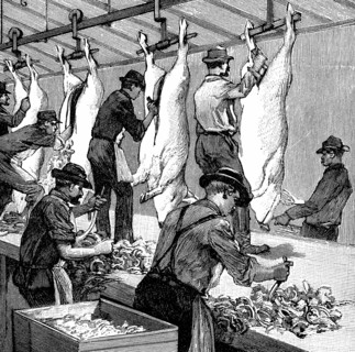 Armour Company's pig slaughterhouse, Chicago