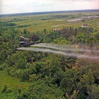 A UH-1D helicopter from the 336th Aviation Company sprays a defoliation agent on a dense jungle area in the Mekong Delta