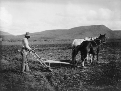 Sacaton Indian Reservation