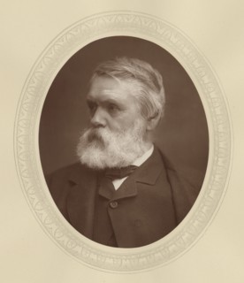 Tom Taylor