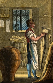 The Woolcomber