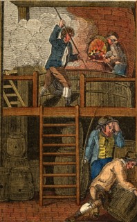 The Brewer