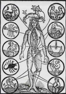 A blood-letting man or Little Leech