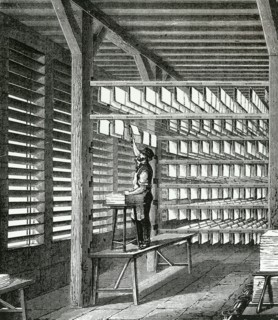Hanging up sheets of handmade paper to dry