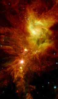 Newborn stars