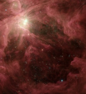 The Orion nebula