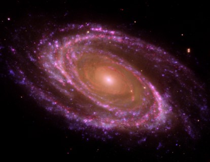 The spiral galaxy known as Messier 81