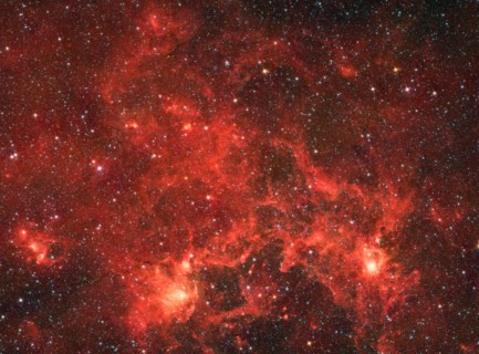 The nebula nicknamed 'the Dragonfish.'