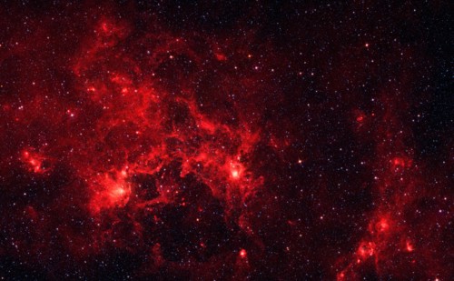 The nebula nicknamed 'the Dragonfish.'