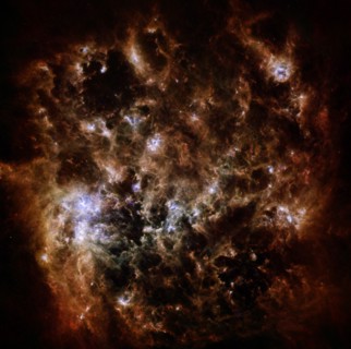 The Large Magellanic Cloud galaxy