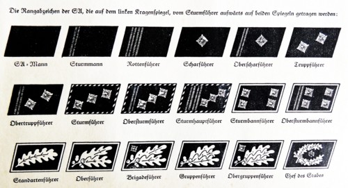 Rank insignia in the Nazi Party, 1934