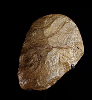 Stone Age hand-axe, made over 250,000 years ago.
