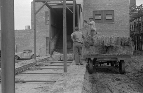 Great depression, 1938