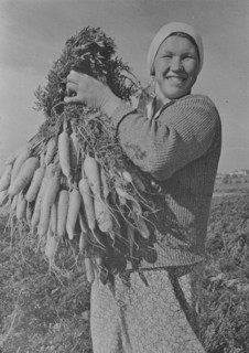 Marusya Sukhova with carrots grown on a collective farm in USSR