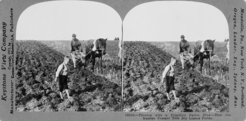Russian farmers with a primitive native plough, c.1900
