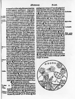 Aristotle pointing to the stars in the sky, 1496