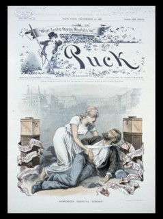 St. Luke's and Mt. Sinai Hospitals, 1886