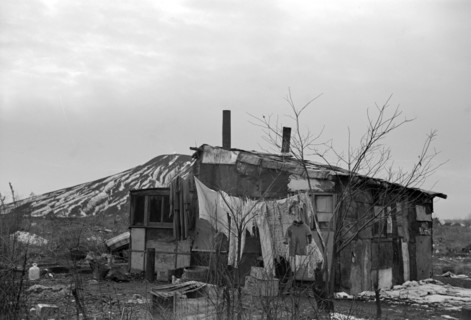 A shanty built of refuse in Illinois, 1939