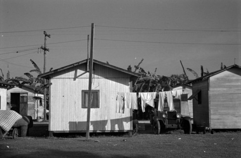 Living conditions among the migrant fruit workers, 1937