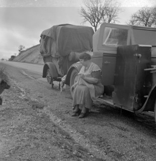 Migrant pea workers on the road, 1936