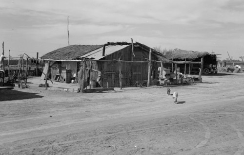 Housing typical of that afforded Mexican field workers of the Imperial Valley. 19380101