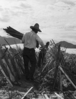 Rural rehabilitation camps for migrants in California, 1935