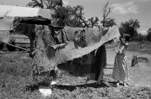 Bedding of agricultural workers' family near Vian, Sequoya County, Oklahoma by Russell lee, 1903-1986,