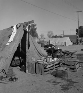 Migratory labour housing during carrot harvest, 1939