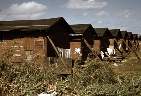 Houses still occupied by African-American migratory workers, 1941