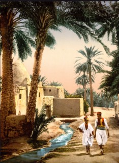 Street in the old town of Biskra, Algeria 1899